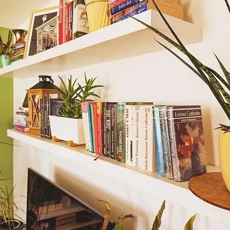 Boho Harmony Апартаменты Raca